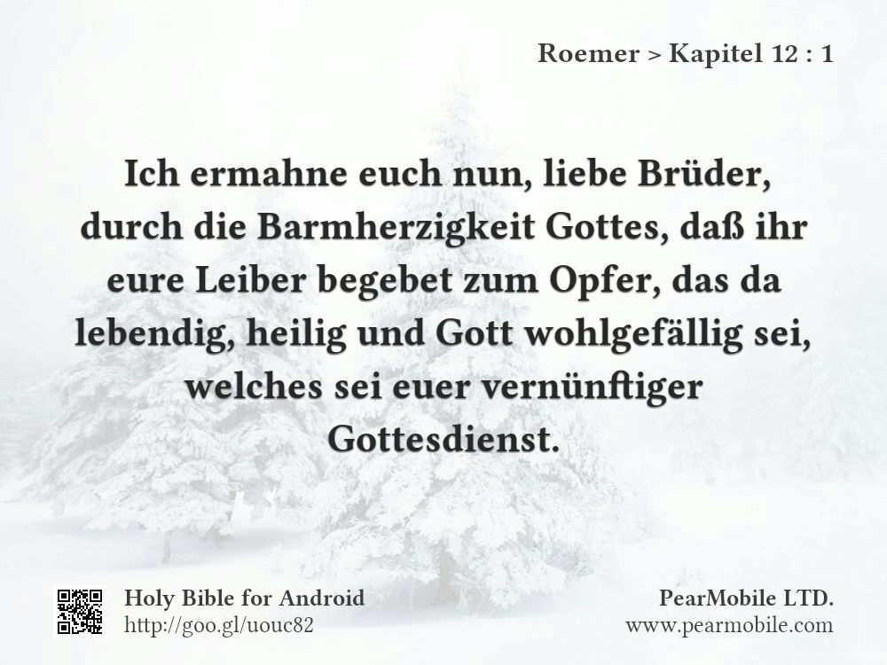 Roemer, Kapitel 12:1